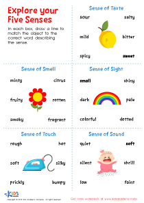 The 5 Senses Worksheets & Free Printables